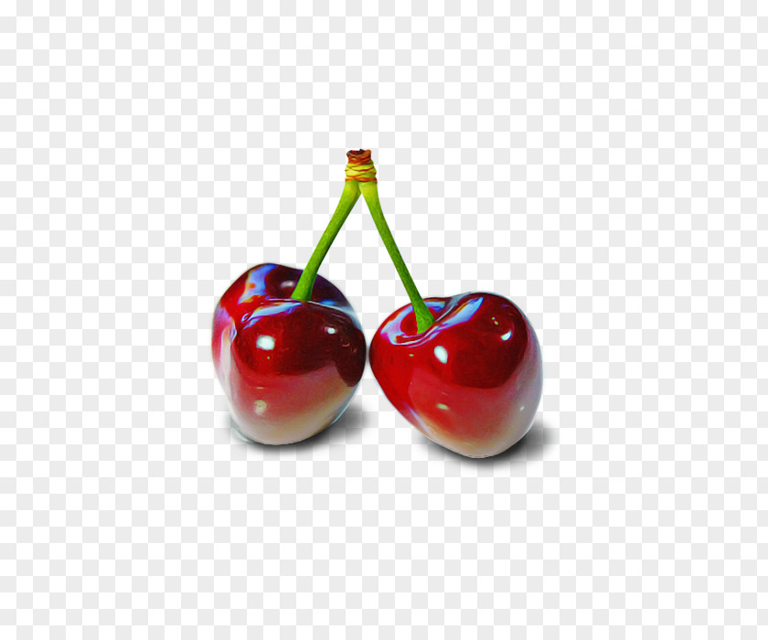 Cherry Fruit Plant Food Black PNG