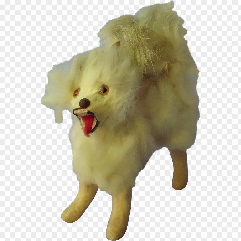 Dog Breed Pomeranian Samoyed Companion Snout PNG