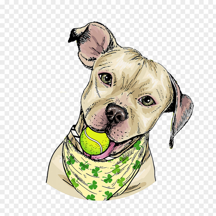Dog Snout Pit Bull American Terrier Collar PNG