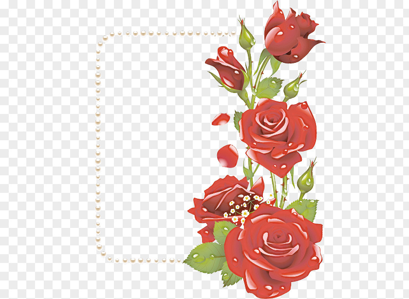 Garden Roses PNG