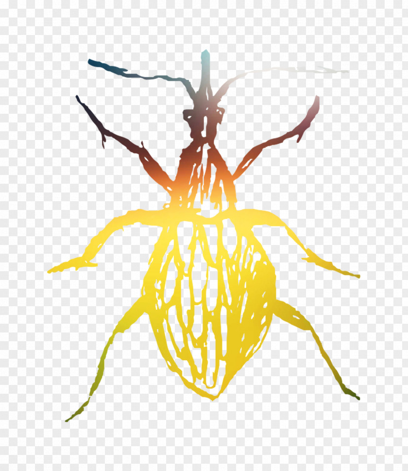 Insect Pest Pollinator Membrane PNG