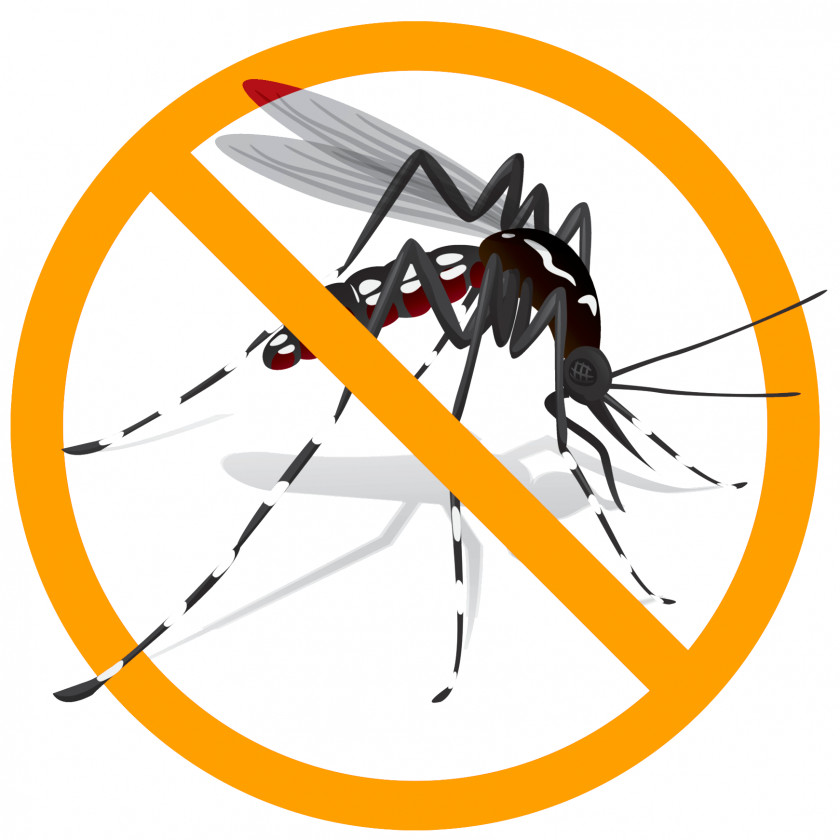 Mosquito Yellow Fever Aedes Albopictus Zika Virus Clip Art PNG