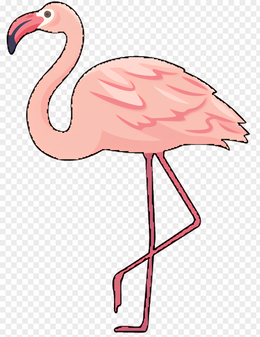 Neck Beak Flamingo Silhouette PNG