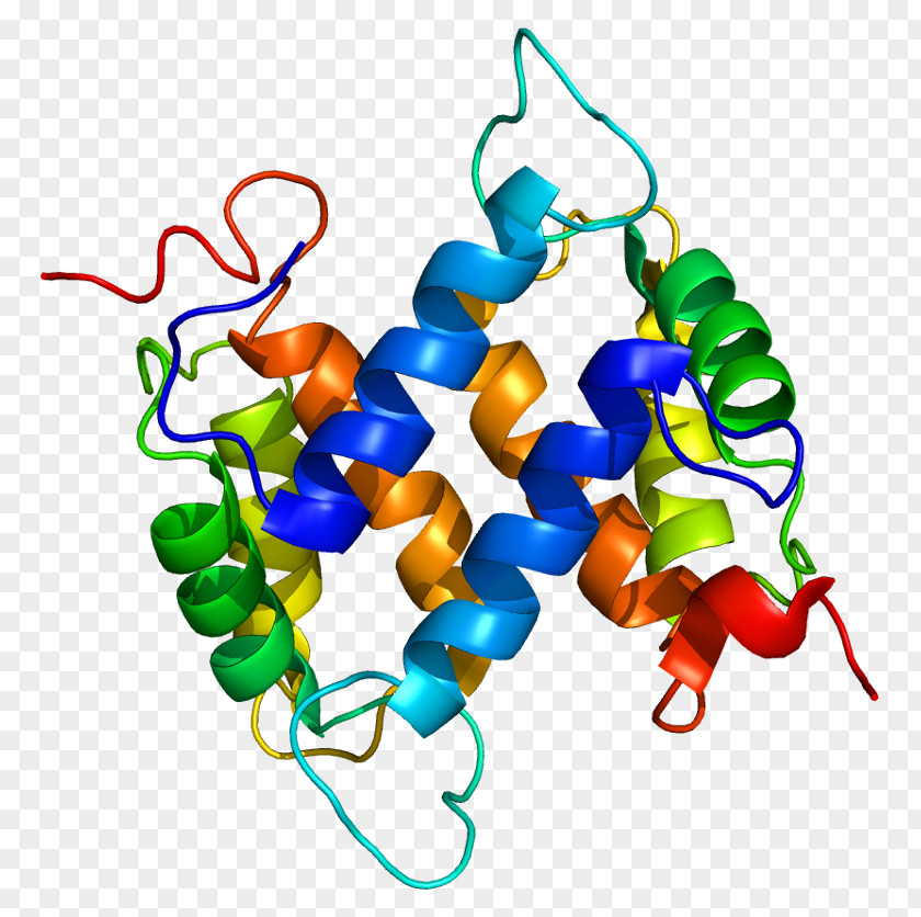 S100A13 S100 Protein HMGB1 DNA-binding PNG