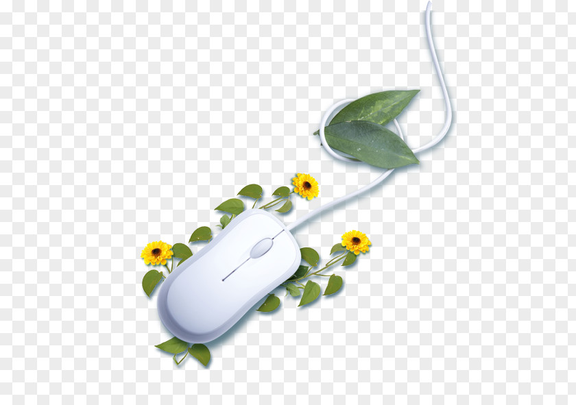 Creative Mouse Computer Fundal Download PNG