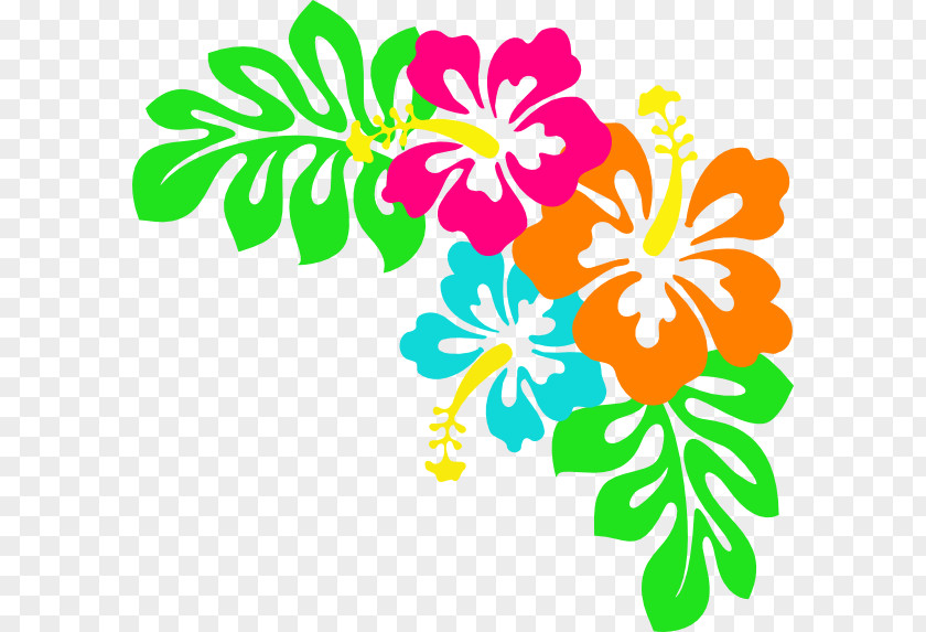 Flower Tulip Hawaii Hibiscus Clip Art PNG