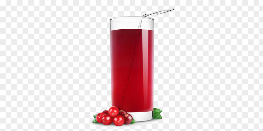 Juice Cranberry Apple Fizzy Drinks Bay Breeze PNG