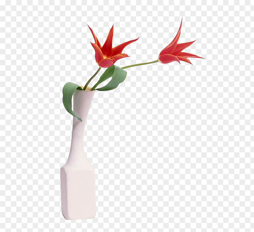 Red Tulip Flower Arrangement Bouquet Garden Wallpaper PNG