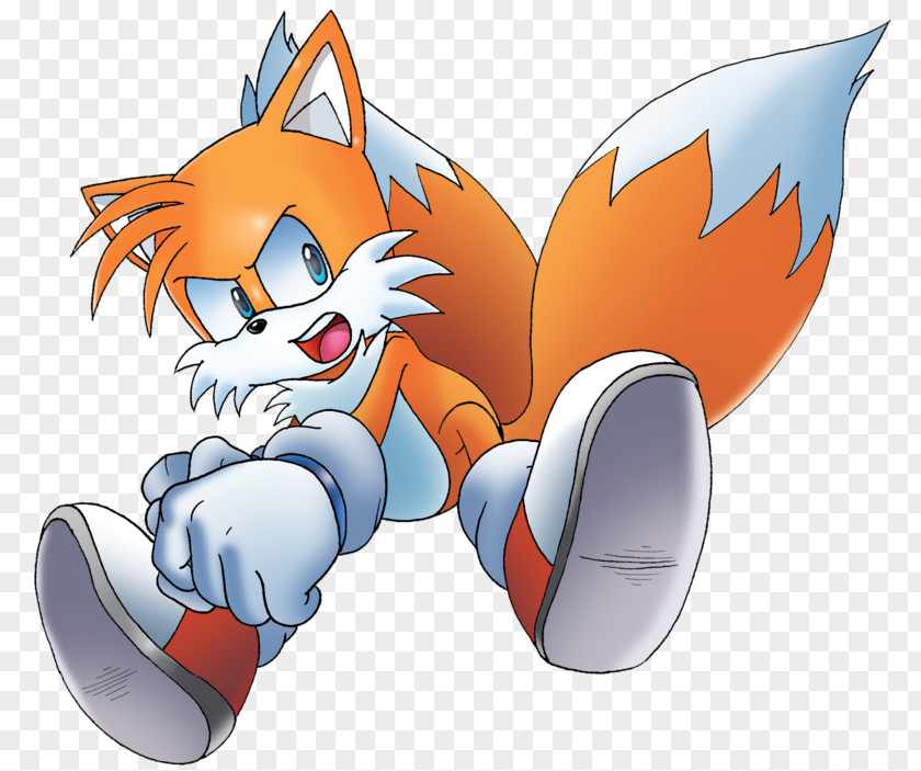 Tails Cat Ariciul Sonic Mario & At The Olympic Games Hedgehog PNG