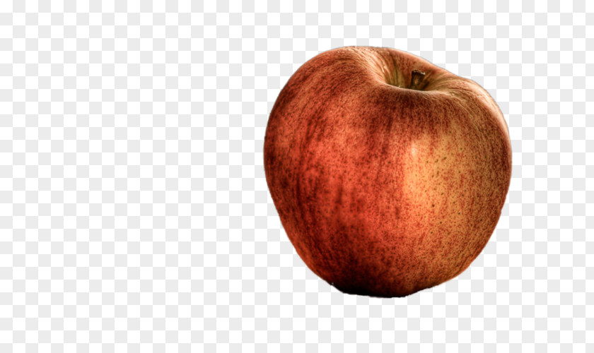 Apple Painting Drawing Kocaeli Province PNG