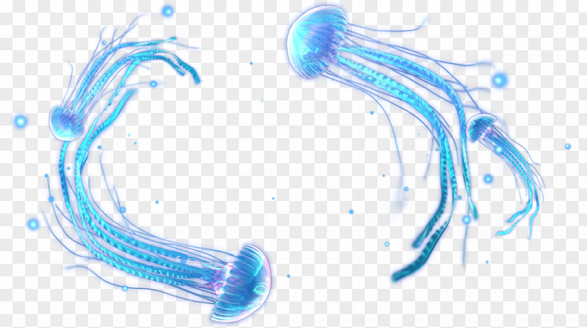 Jellyfish Organism Marine Biology Water PNG