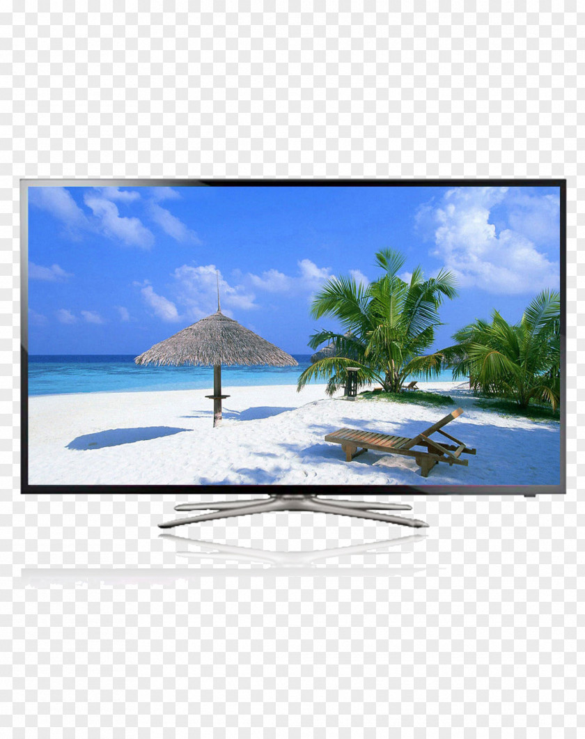LCD Wall Support For TV Baga Punta Cana Beach Arecaceae Wallpaper PNG