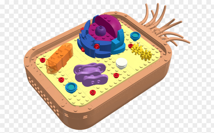 Animal Cell Google Play PNG