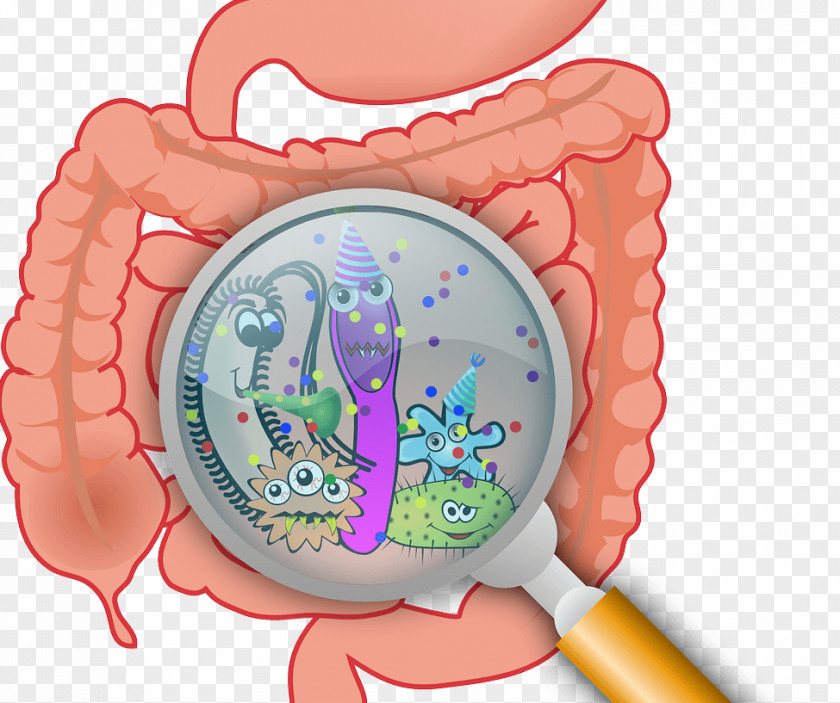 Bacteria Animada Gastrointestinal Tract Gut Flora Small Intestinal Bacterial Overgrowth Disease PNG