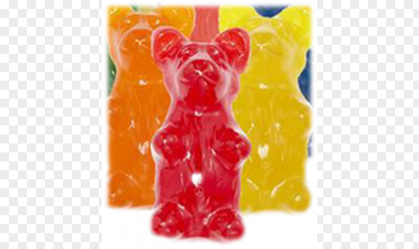 Bear Gummy Gummi Candy Flavor PNG