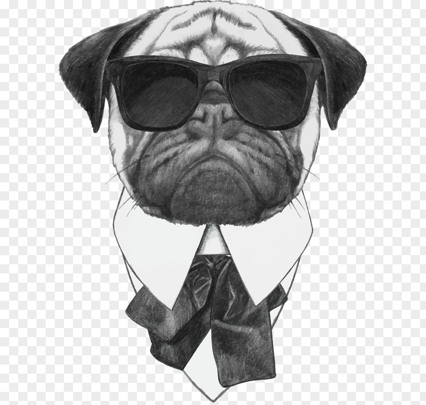 Cool Dog Pug Stock Photography Sunglasses Illustration PNG