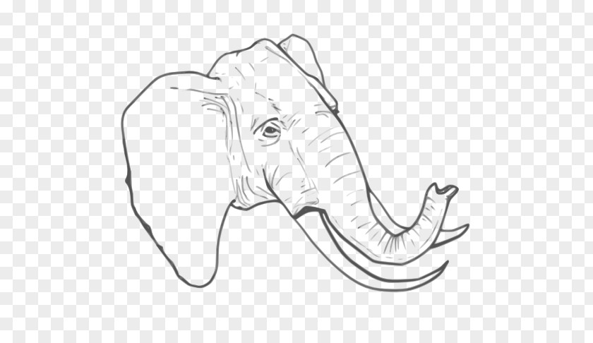 Elephant Line Art Drawing PNG