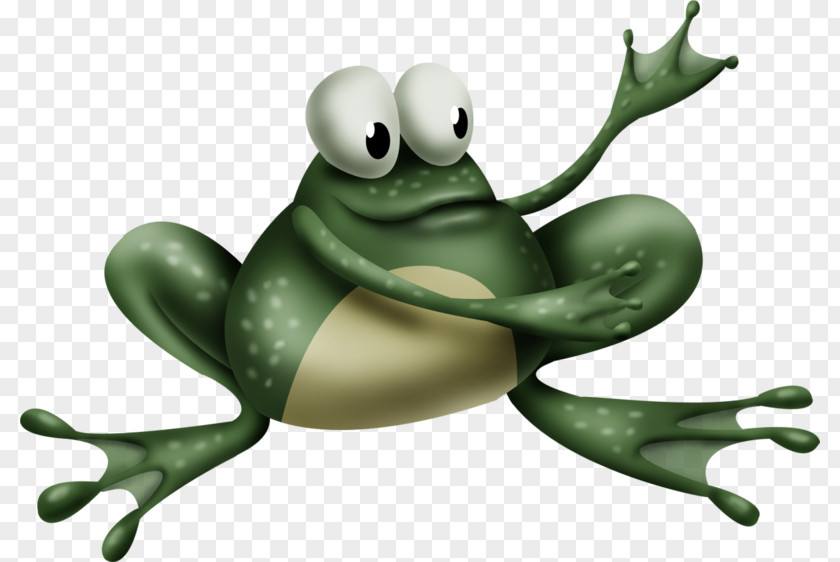 Frog Background Image Drawing Animation PNG
