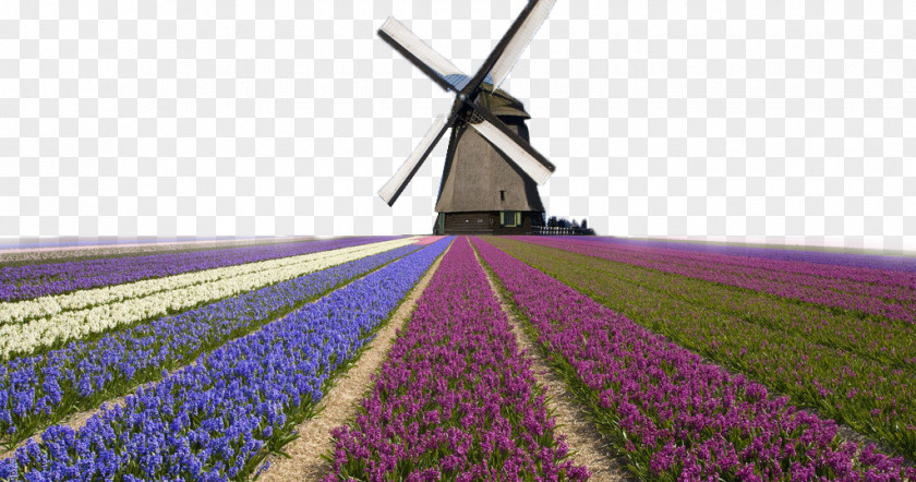 Pretty Far From The House Netherlands Kinderdijk Windmills In Holland Tilting At Wallpaper PNG