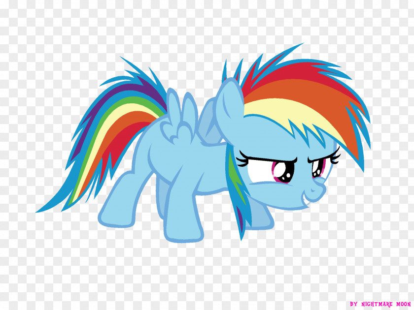 Rainbow Dash Rarity Pony Pinkie Pie Applejack PNG