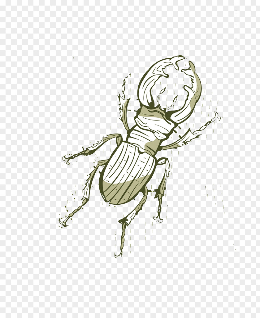Cartoon Cockroach Insect PNG