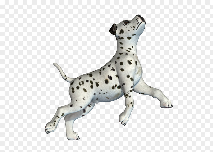 Dalmatian Dog Breed Companion Non-sporting Group Snout PNG