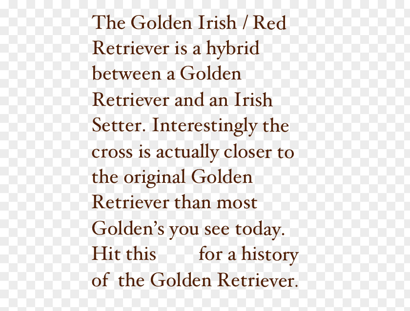 Irish Setter Golden Retriever Puppy PNG