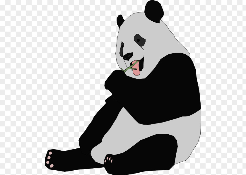 PANDA OUTLINE Giant Panda Bear Red Cuteness Clip Art PNG
