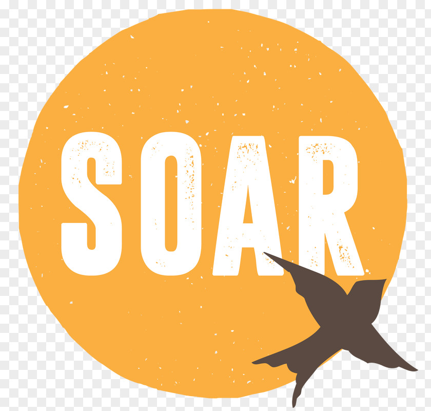 Soars Logo Font Brand Clip Art Line PNG