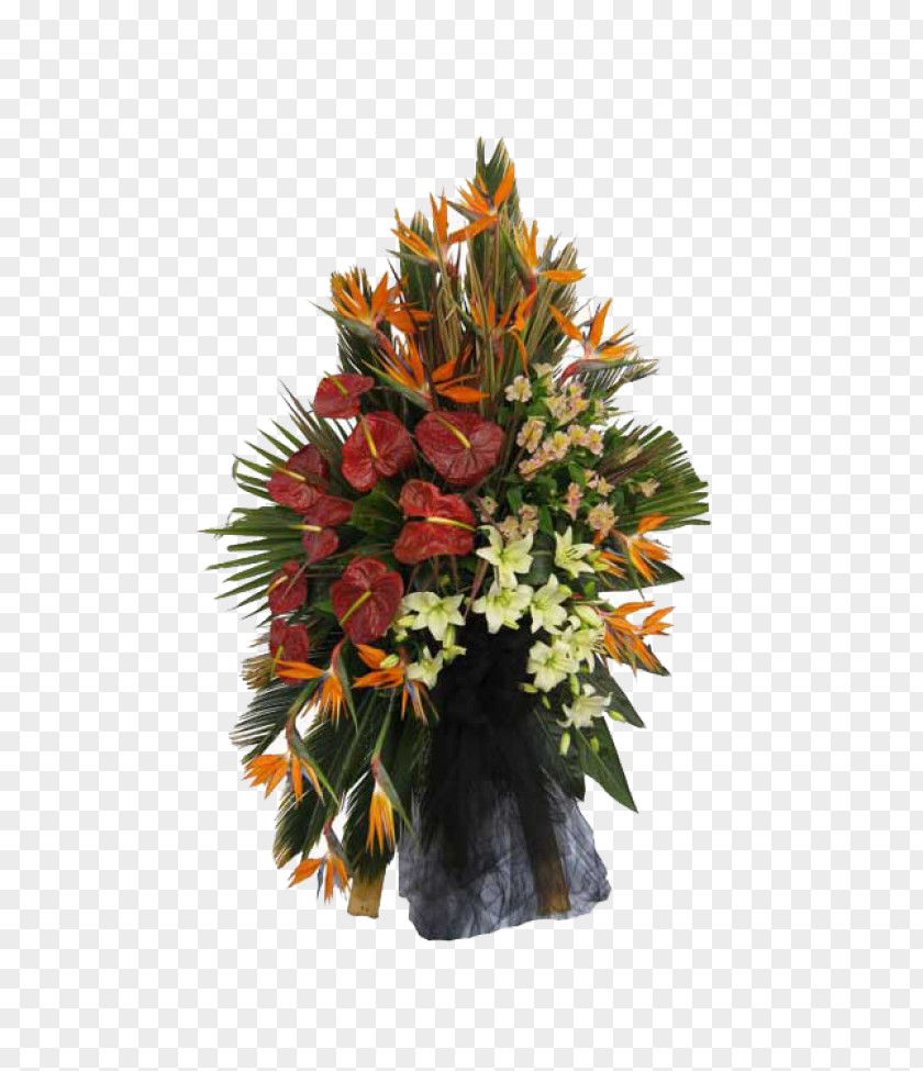 Flower Floral Design Bouquet Cut Flowers Lilium PNG