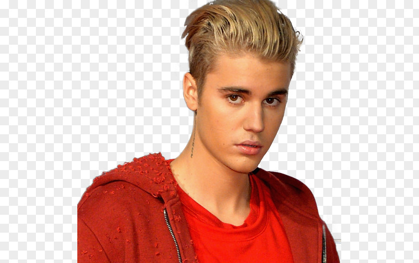 Justin Bieber Singer-songwriter Purpose PNG