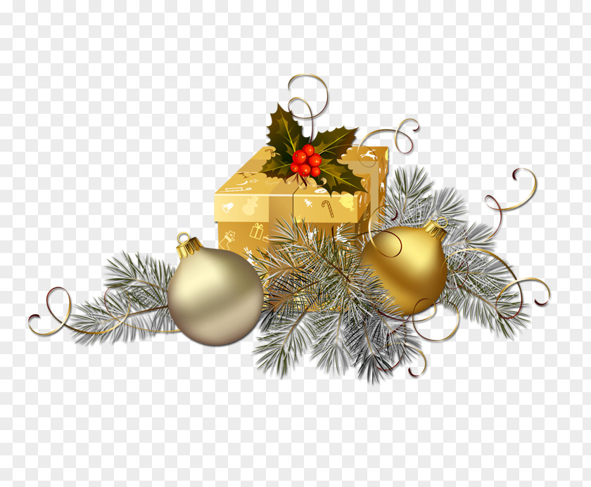 Leona Christmas Ornament Day Image Clip Art PNG