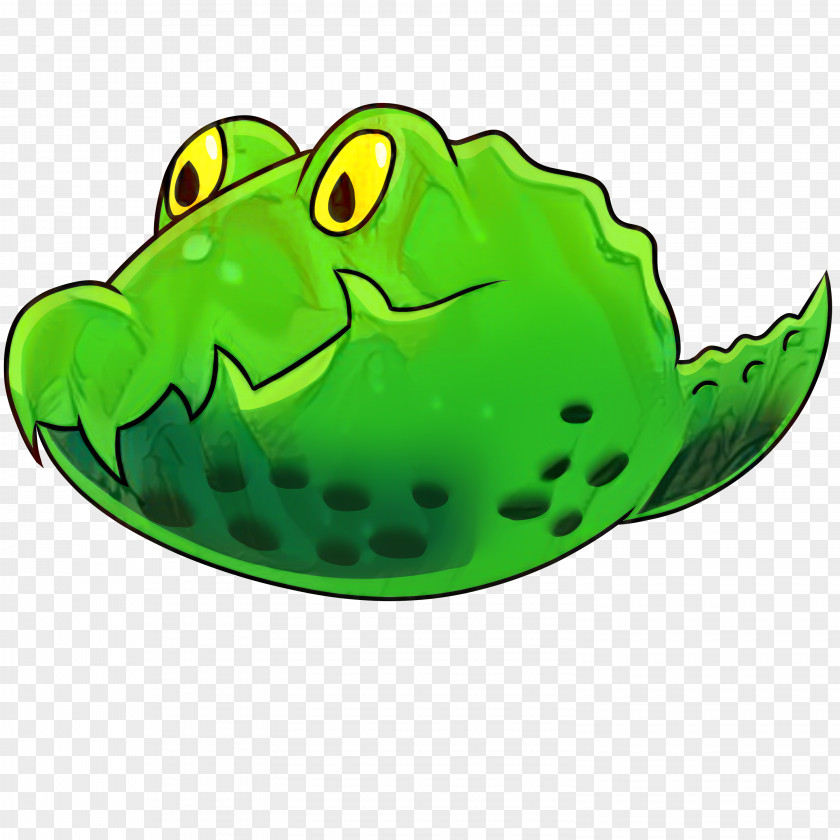 Mouth Green Turtle Cartoon PNG
