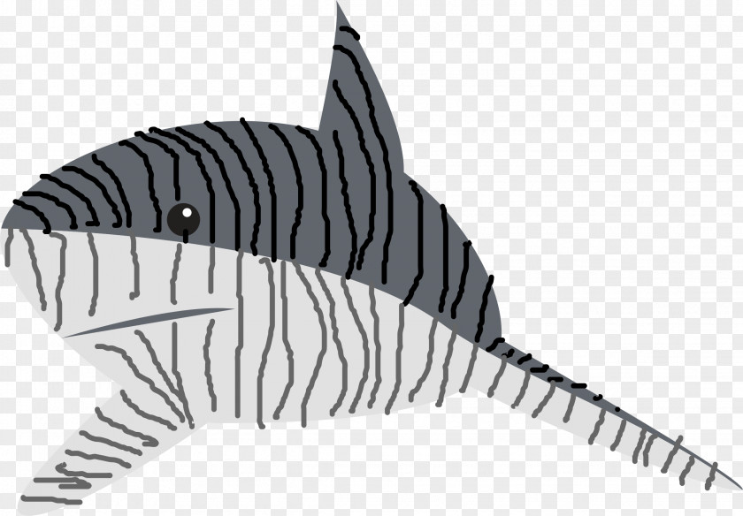 Sea Buckthorn Tiger Shark Clip Art PNG