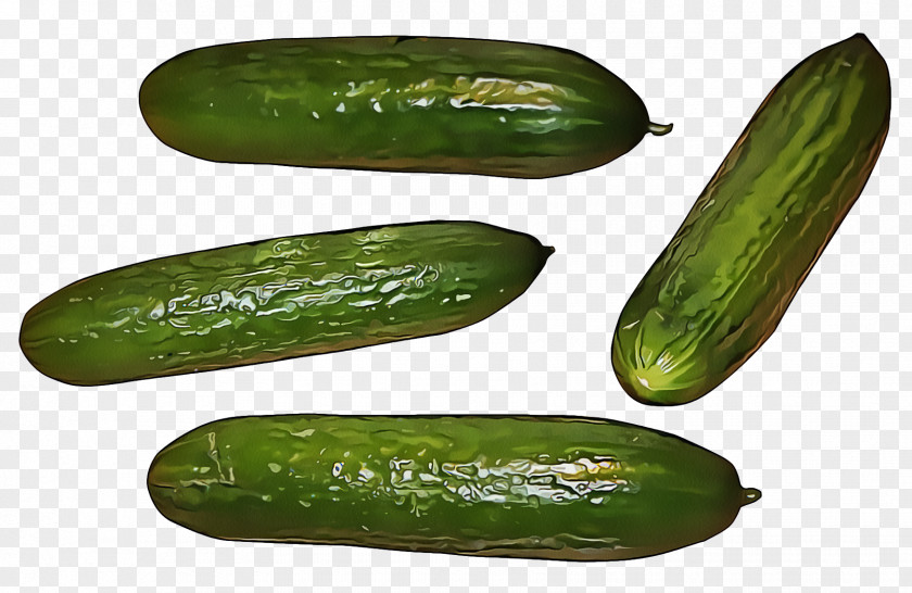 Zucchini Spreewald Gherkins Vegetable Cucumber, Gourd, And Melon Family Cucumber Scarlet Gourd Cucumis PNG