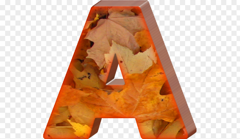 Amusement In Letters Letter Autumn Leaf Color Alphabet PNG