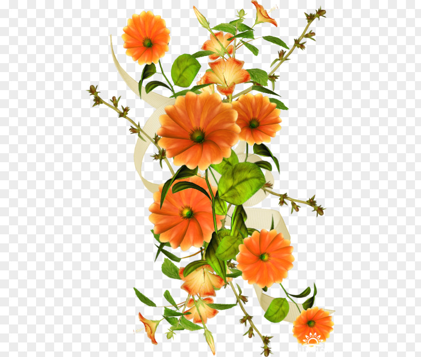 Artificial Flower Wildflower Lily Cartoon PNG