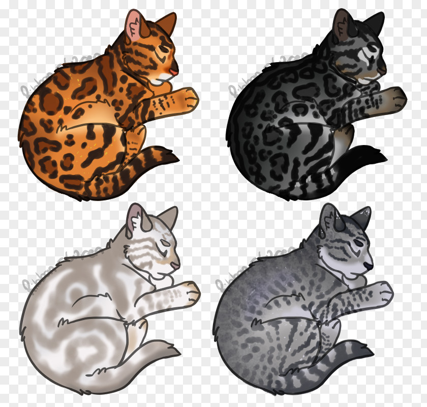 Bengal Cat Tabby Kitten Domestic Short-haired Whiskers PNG