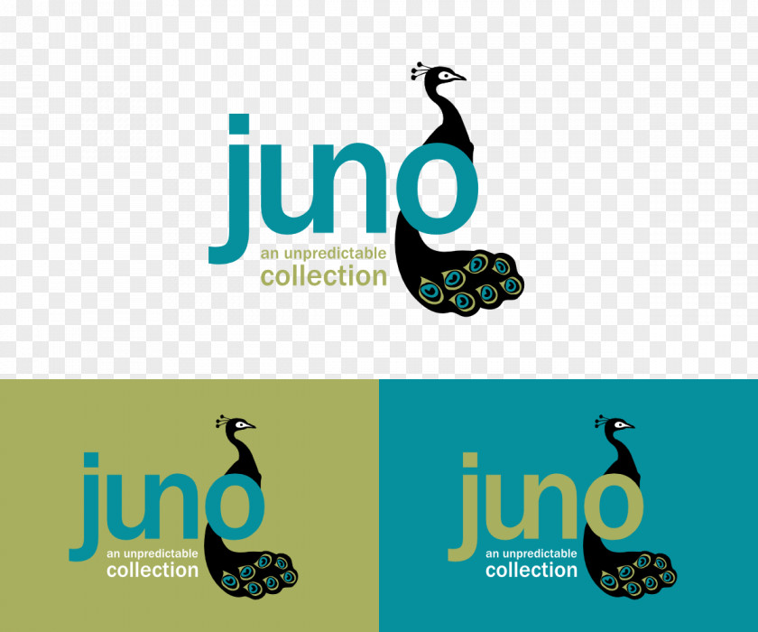 Collection Logo Corporation Design Graphic Brand Product PNG