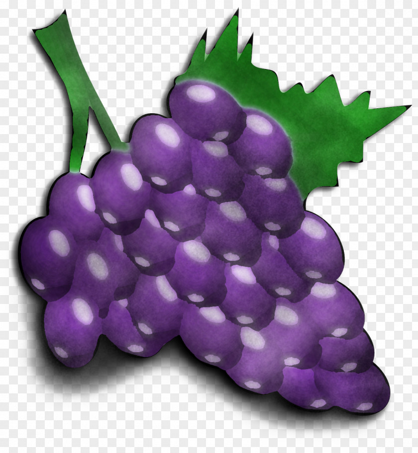 Grape Grapevine Family Purple Fruit Plant PNG