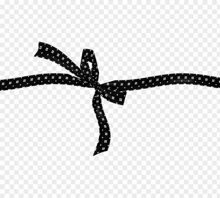 Ribbon Image Shoelace Knot Vector Graphics PNG
