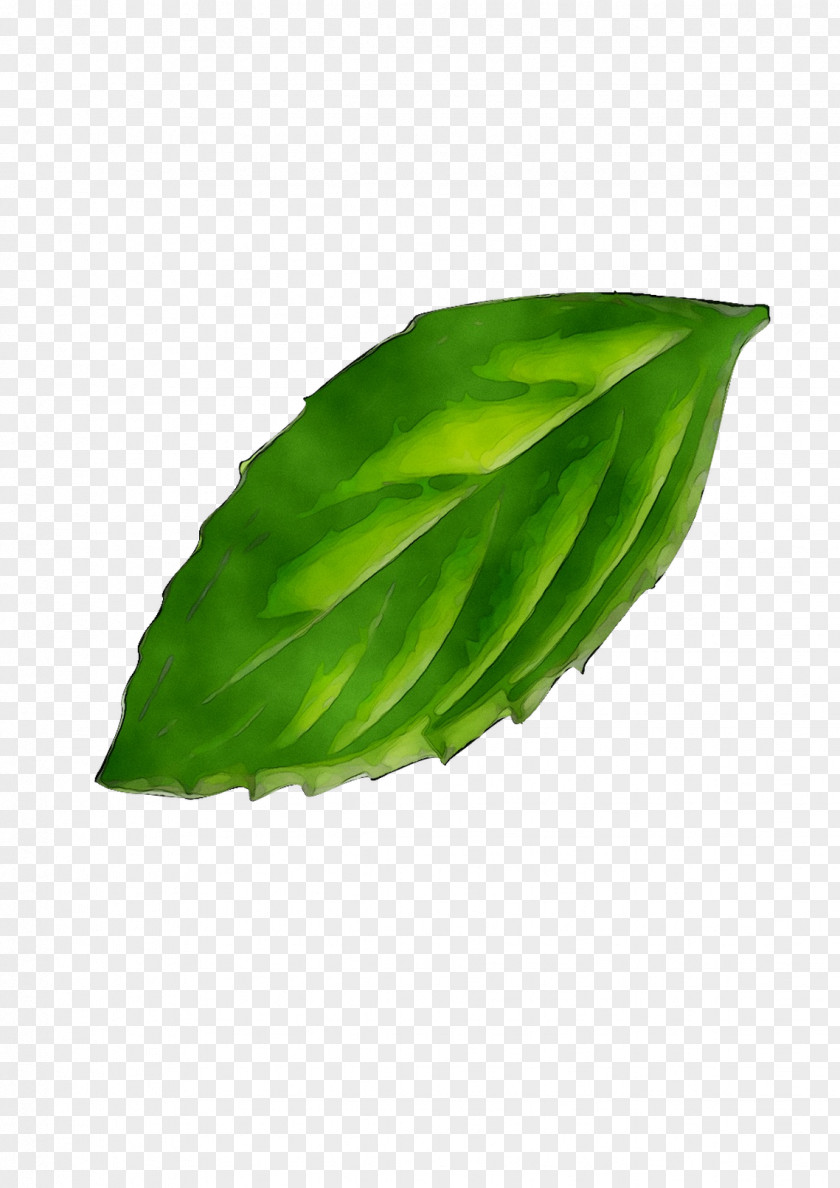 Clip Art Vector Graphics Leaf Stock Photography Royalty-free PNG