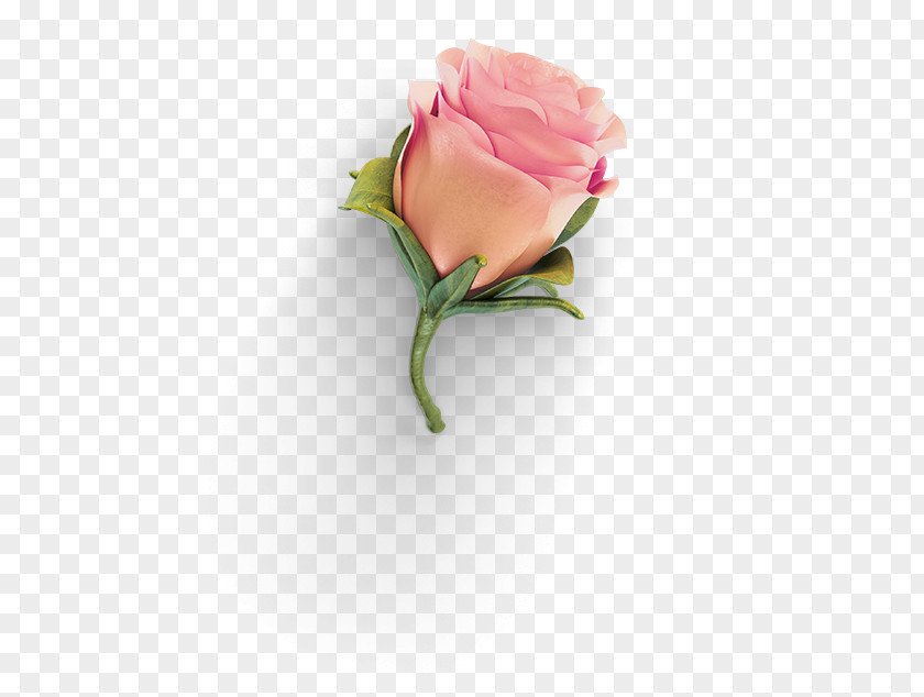 Design Garden Roses Grid PNG