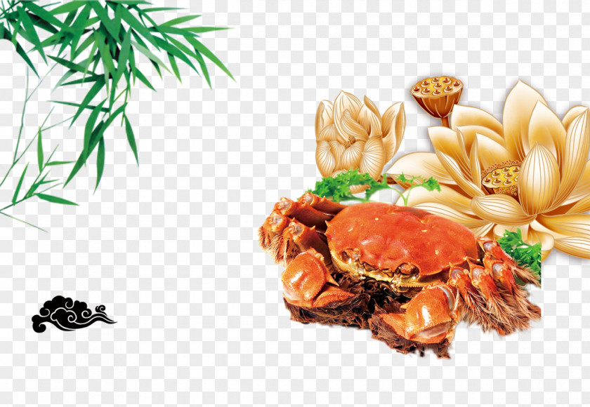 Dungeness Crab Chinese Mitten Cuisine Photography PNG crab mitten cuisine Photography, creative flowers clipart PNG