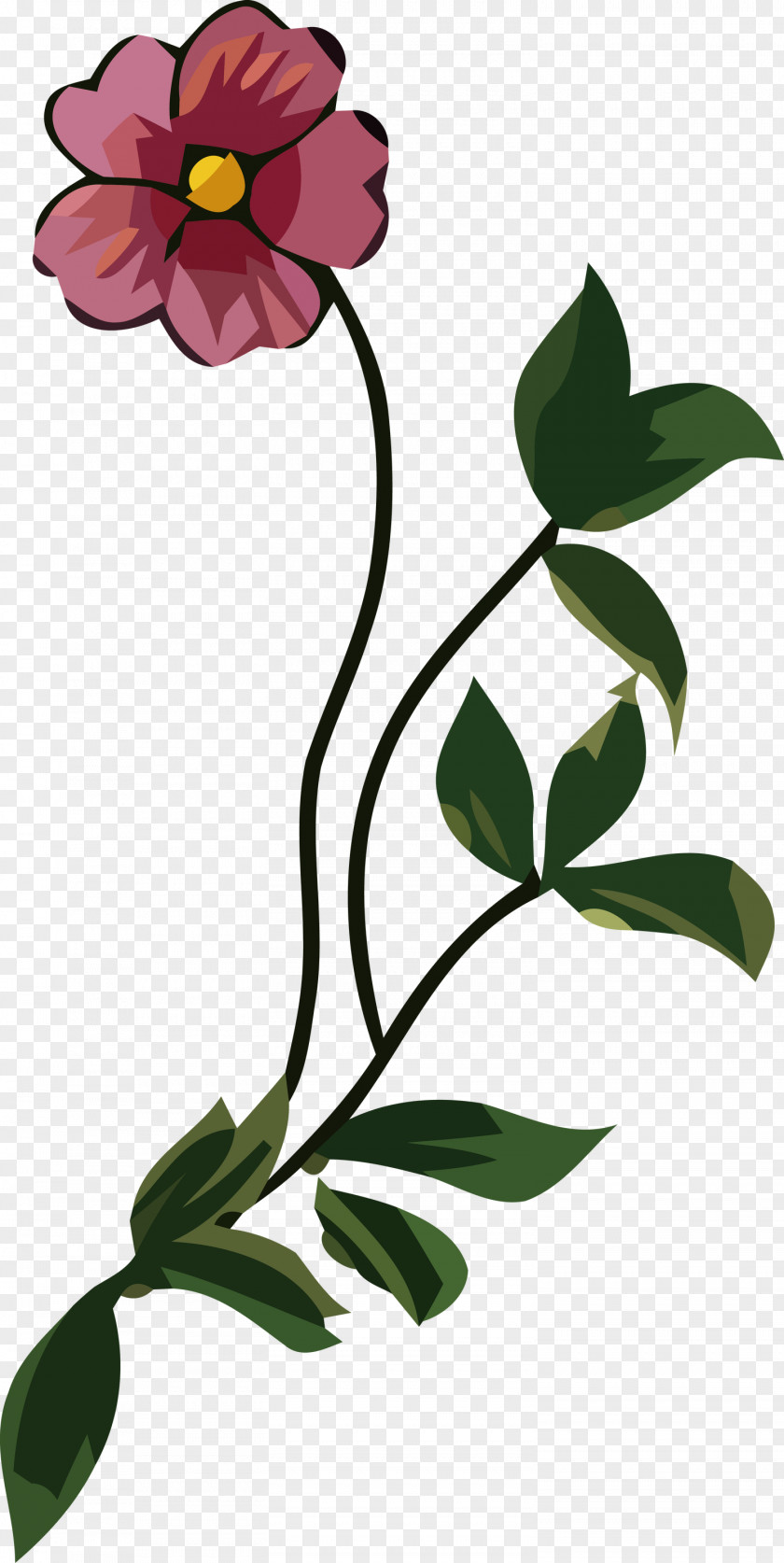 Floral Design PNG