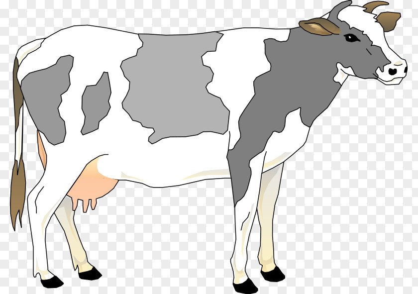 Free Cow Vector Highland Cattle Guernsey Content Clip Art PNG
