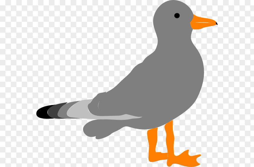 Gulls Clip Art PNG