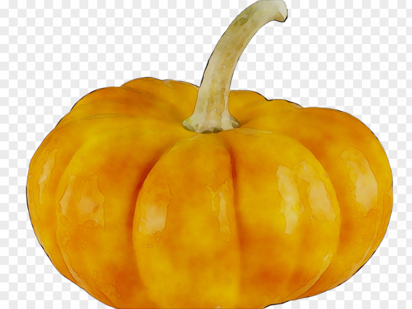 Pumpkin Butternut Squash Vegetarian Cuisine Vegetable Gourd PNG