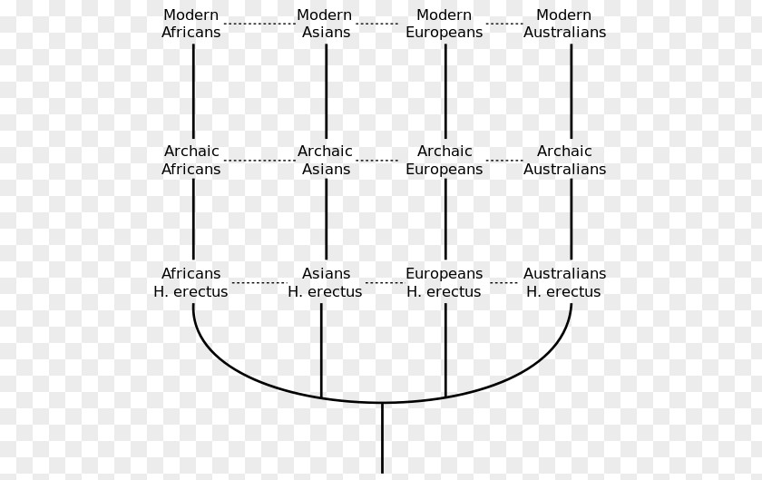 Science Multiregional Origin Of Modern Humans Recent African Human Evolution Homo Sapiens Archaic PNG