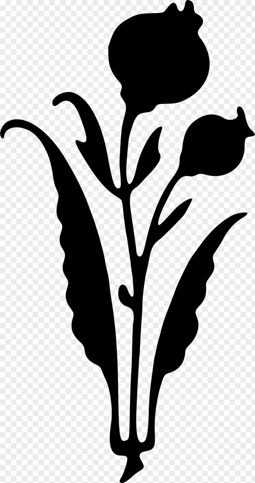 Silhouette Analecta Eboracensia Flower Clip Art PNG